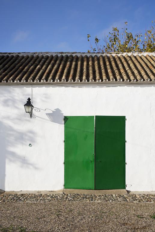 Cuevas Del Pino Turismo Rural Y Emocional Sl Villarrubia Ngoại thất bức ảnh