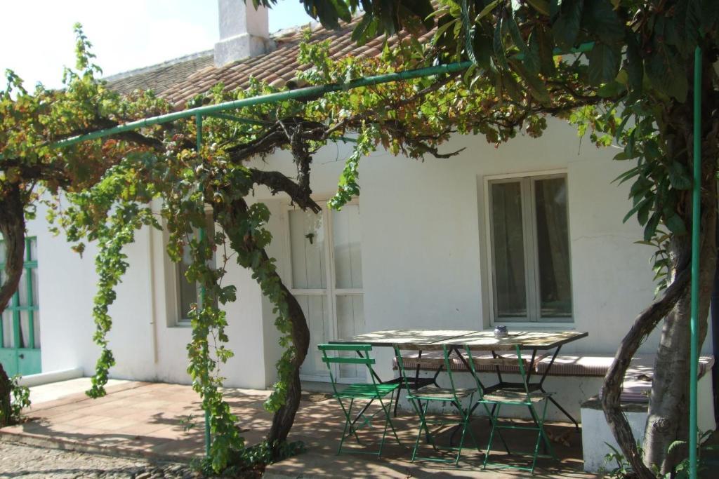 Cuevas Del Pino Turismo Rural Y Emocional Sl Villarrubia Phòng bức ảnh